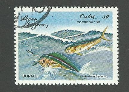 1981 Cuba Scott Catalog Number 2389 Used