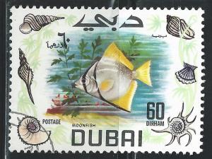 Dubai #103 60d Moon Fish