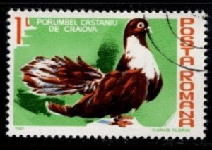 Romania - #3004 Pigeons & Doves - CTO