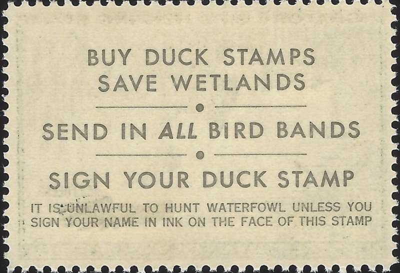 US Scott #RW37 MNH OG XF 3.00 1970 US Federal Duck Stamp CV 65.00