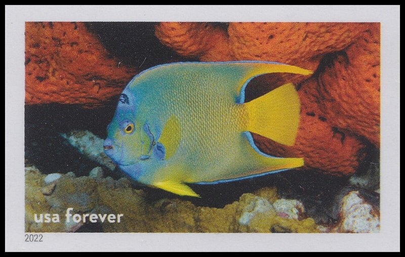 US 5713z National Marine Sanctuaries Queen Angelfish imperf NDC single MNH 2022