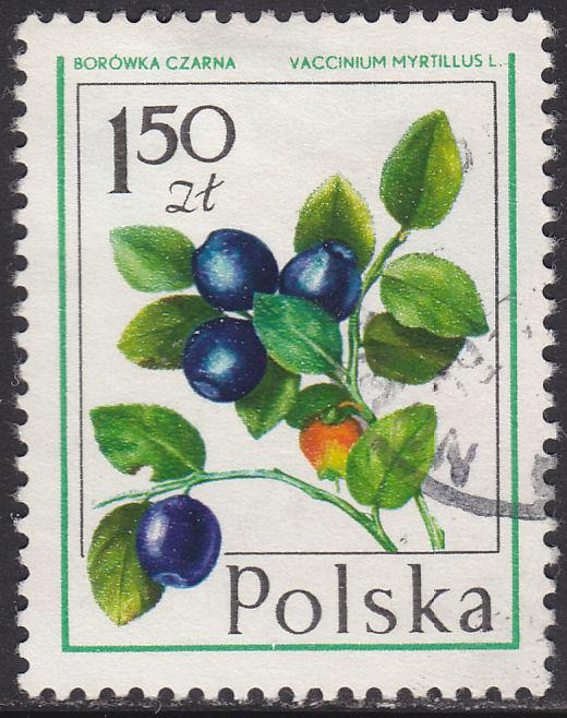 Poland 2202 Bilberry 1977