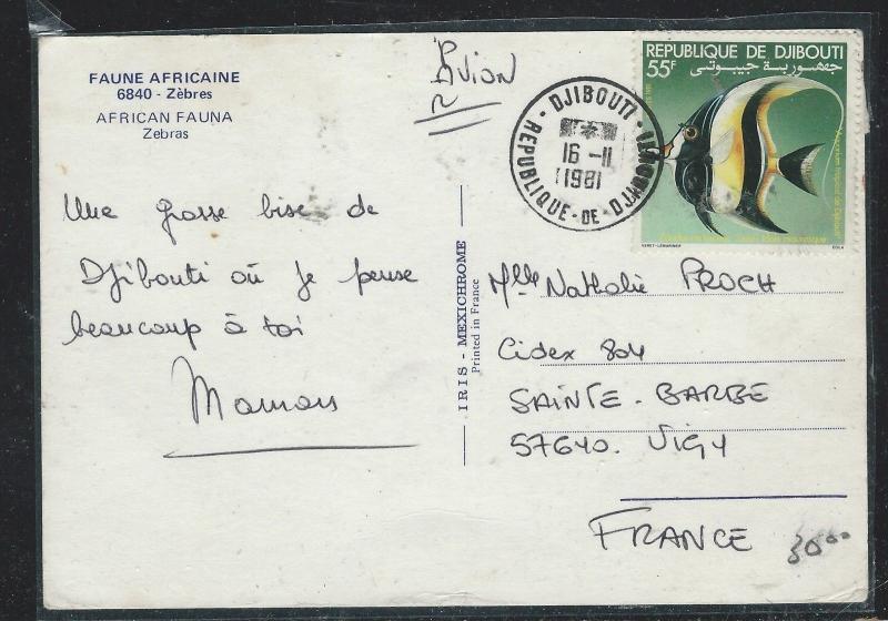 SOMALI COAST DJIBOUTI  (PP2709B) 1981 55F FISH STAMP ON PPC TO FRANCE