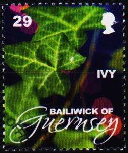 Guernsey. 2010? 29p .Fine Used