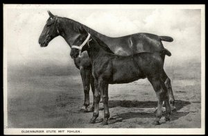 3rd Reich Germany Propaganda Horses Reichsnaehrstand Card USED G97625