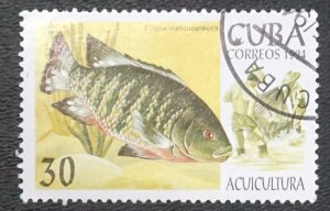 CUBA Sc# 3573 MARINE LIFE fish ocean sea 30c 1994  used / cto