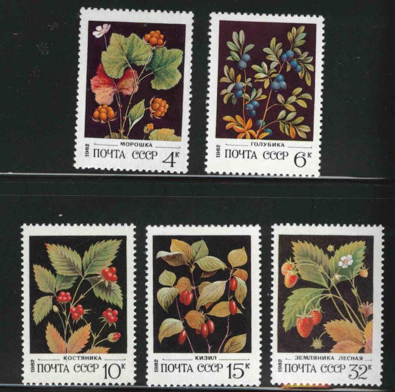 Russia Scott 5023-5027 MNH**  Berry set