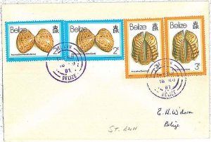 28681  - BELIZE - Postal History -  COVER from ST. ANN 1981 SHELLS