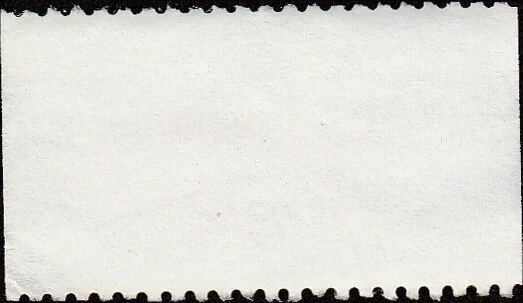 # 2208 USED BLUEFIN TUNA