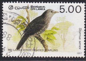 Sri Lanka # 838, White Headed Starling, Used. 1/2 Cat.