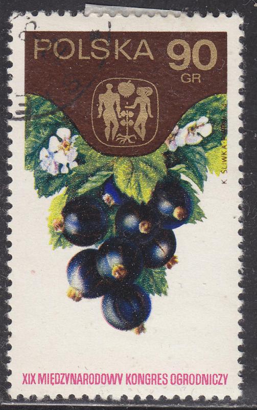 Poland 2050 Black Currants 1974