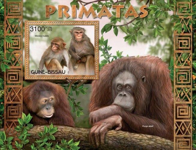 Monkeys Primates Apes Affen Animals Fauna Guinea-Bissau MNH stamp set