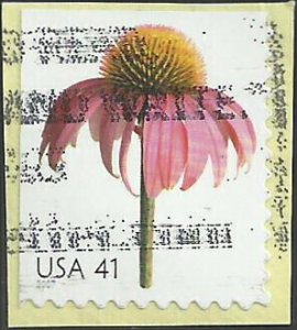 # 4184 USED CONEFLOWER