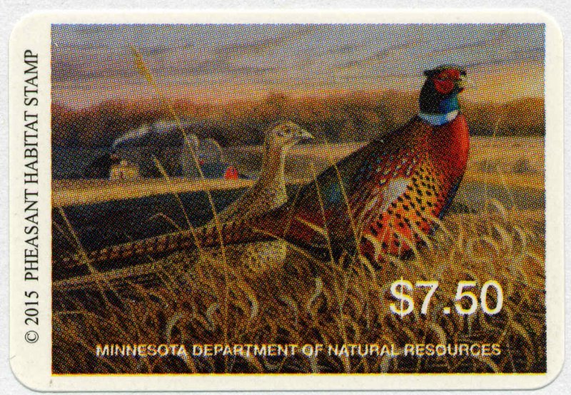 MINNESOTA #33P 2015 STATE PHEASANT STAMP  by Stephen Hamrick