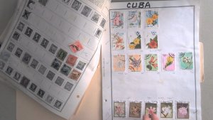 CUBA COLLECTION ON STOCK SHEET, MINT/USED