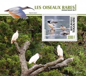 Togo - 2020 Scaly-sided Merganser Birds - Stamp Souvenir Sheet - TG200252b 
