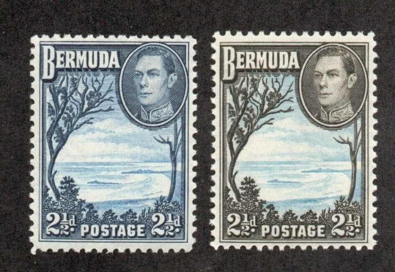 Bermuda - SG# 113 & 113a MH (rem)        -       Lot 0324197