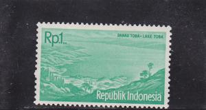 Indonesia  Scott#  513  MNH