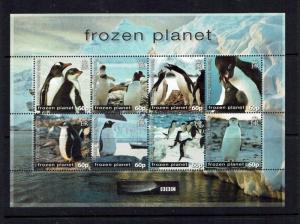 British Antarctic Territory:  2011, Frozen Planet, (BBC documentary)  MNH set