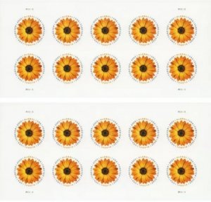 2022 Global African Daisy  forever stamps  10 Booklets 100pcs