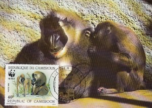 Cameroun 1988 Maxicard Sc #844 40fr Drill baboon WWF