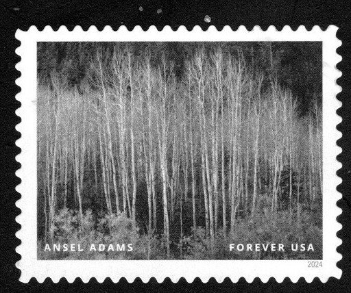 New 2024 - (68c) - Ansel Adams Aspen Dawn Colorado - 14 of 16 - USED