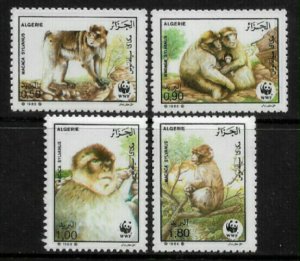 Algeria #872-5 MNH Set - WWF - Barbary Apes