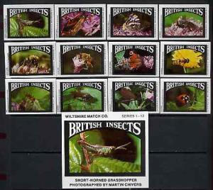 Match Box Labels - complete set of 12+1 British Insects s...