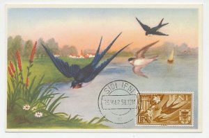 Maximum card IFNI 1958 Bird - Swallow