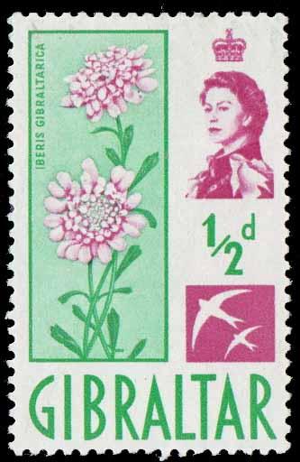 Gibralter SC 147 - Candytuft - MH - 1960