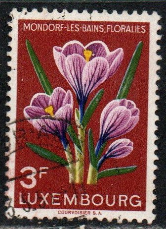 Luxembourg Sc #312 Used