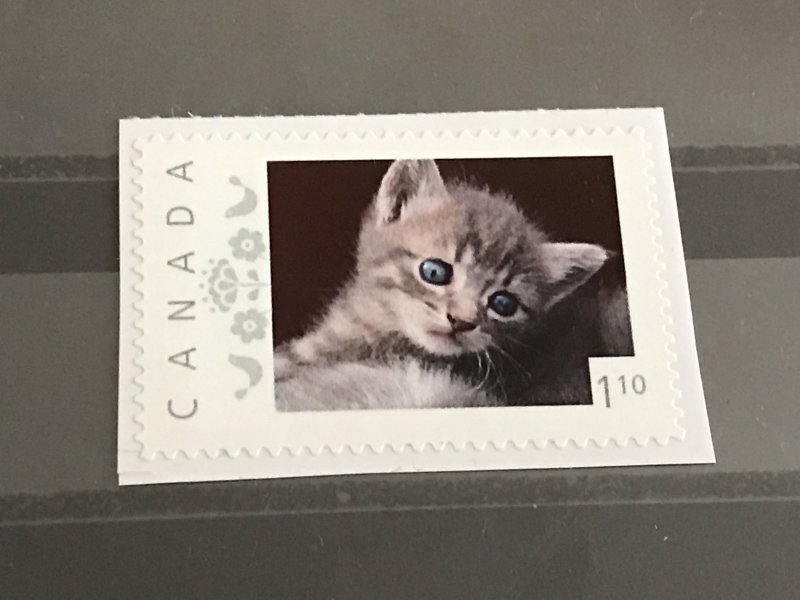 Canada Post Picture Postage * Cute Baby Cat * *$1.10* denomination