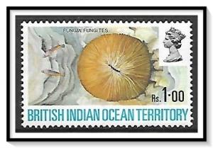 British Indian Ocean Territory #46 Coral MNH