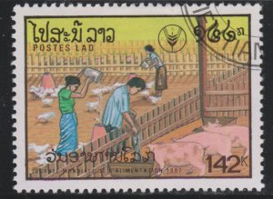 Laos 831 Tending Pigs. Chickens 1987