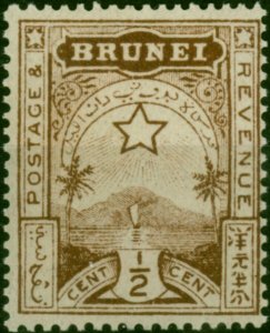 Brunei 1895 1/2c Brown SG1 Position 2/8 V.F MNH