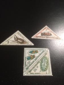 Central African Rep sc J2a, J3, J6 M insects