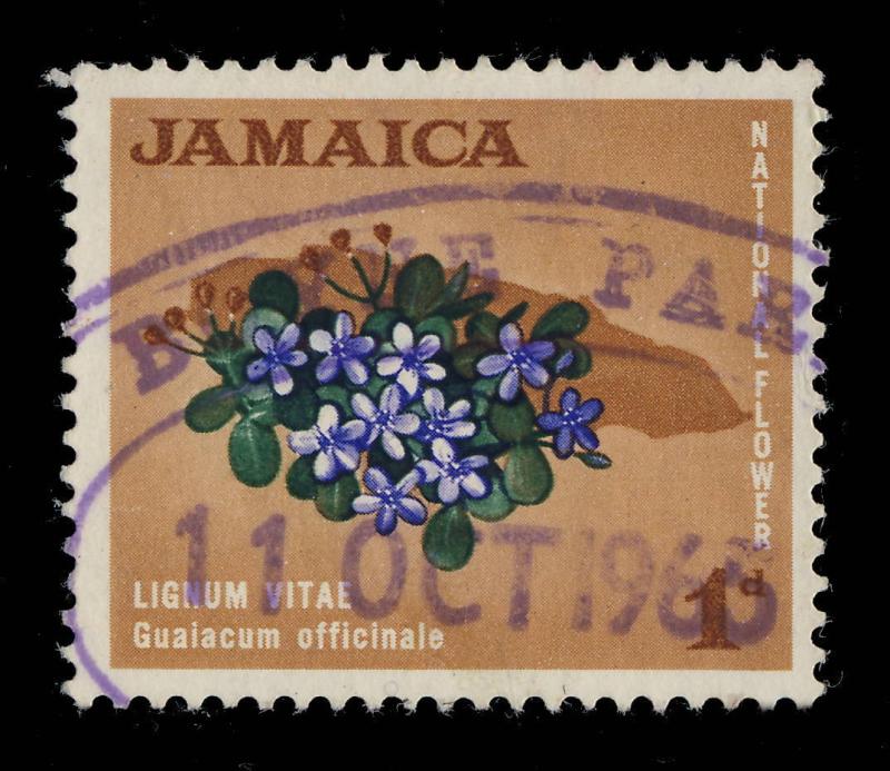 JAMAICA - 1965  BOYNE PARK / JAMAICA  Violet Oval Rubber DATE STAMP on SG 217