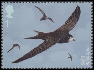 GB 4653 Migratory Birds Swift 1st single MNH 2022