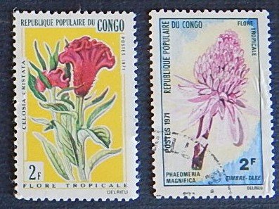 Congo, Flowers, (1548-Т)