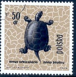 European Pond Turtle, Poland stamp SC#1136 Used