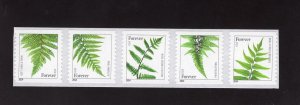 4973-4977 Ferns, MNH coil strip/5