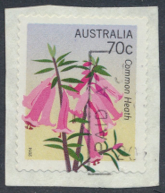 Australia SC# 4063 Flowers 2014 Used Common Heath details & scan