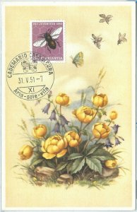 68916-switzerland-maximum cards 1951-pro juventute butterflies 