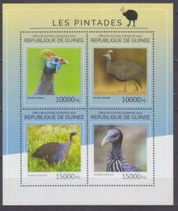 2014 Guinea 10562-10565KL Birds - Pentades 20,00 €