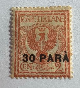 Italy  in Turkish Empire 1922 Scott 44 MH - 30pa on 2c, Coat of Arms