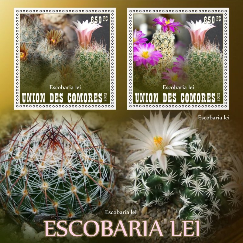 Stamps. Plants, Cactus 1+1 sheets 2023 year perforated MNH**