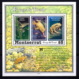 Montserrat 1991 Toad & Frogs Mint MNH Miniature Sheet SC 783