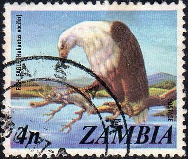 Zambia 138 - Used - 4n Fish Eagle (1975)