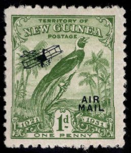 New Guinea Scott C15 Airmail MH*