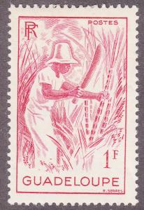 Guadeloupe 193 Cutting Sugar Cane 1947